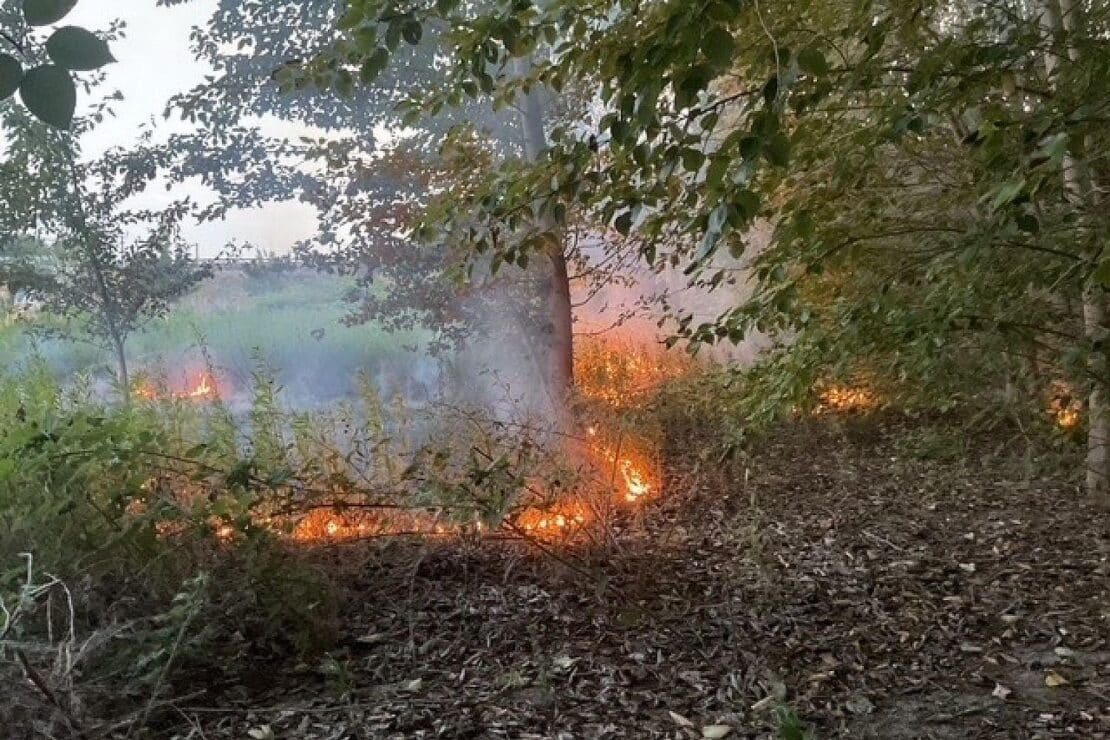 Vegetationsbrand in Dortmund unter Kontrolle