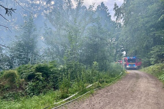 Feuerwehr im Einsatz gegen Vegetationsbrand in schwer zugänglicher Hanglage.