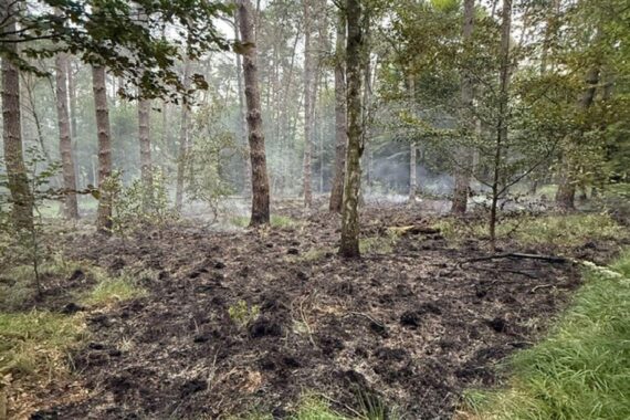 Brandstelle in Waldgebiet, Feuerwehrlöscharbeiten, Hubschrauber im Einsatz, keine Gefahr für Bevölkerung.