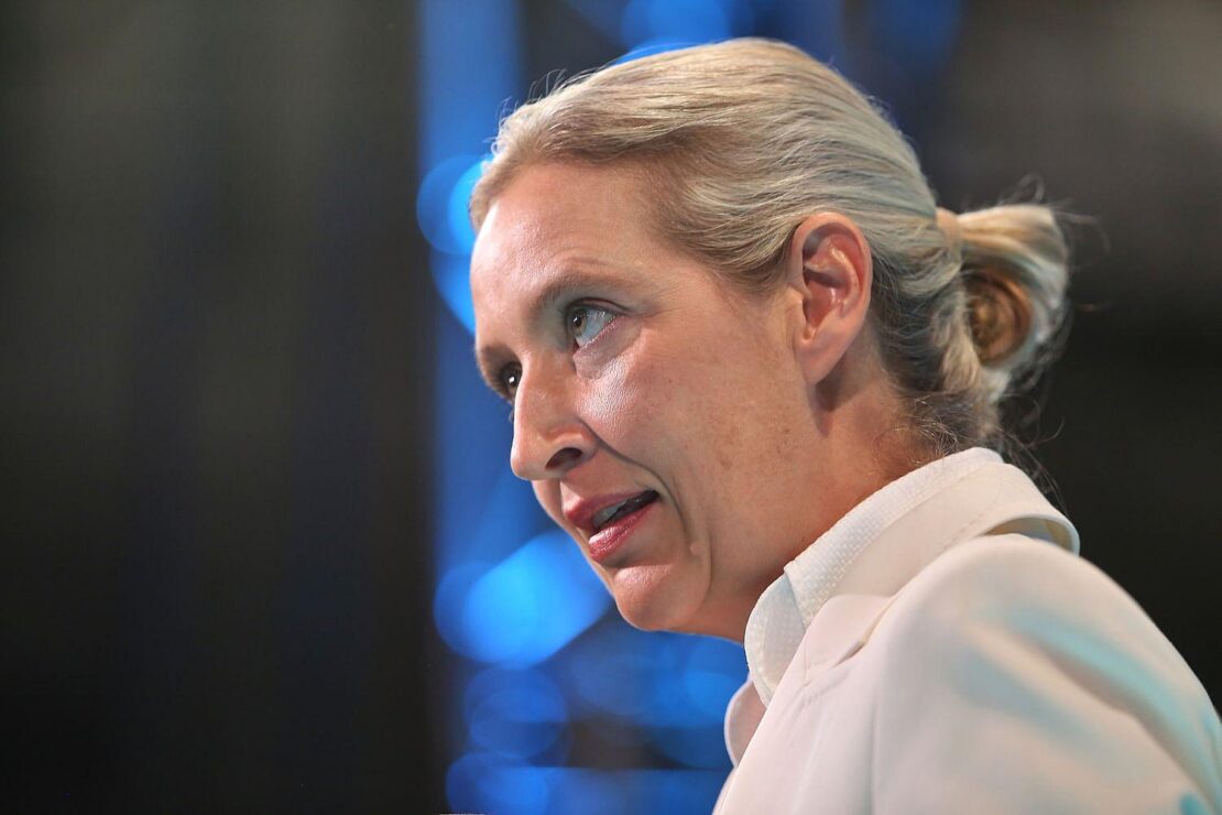 Weidel kritisiert Familienbild in Sachsen-Anhalter AfD-Wahlprogramm