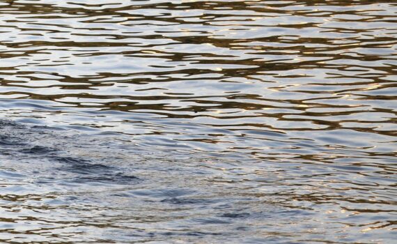 BUND-Kritik: Niedrigwasser/Flusspegel (Archiv), Olaf Bandt fordert Umweltverbände zur Niedrigwasserkonferenz.