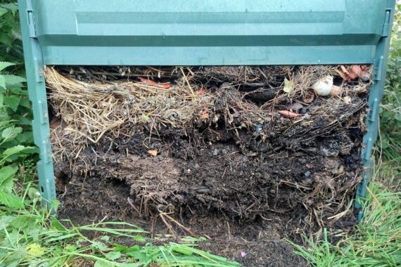 Kompost (Archiv) in Baden-Württemberg: Bioabfälle werden zu Biogas und Düngemitteln verarbeitet.