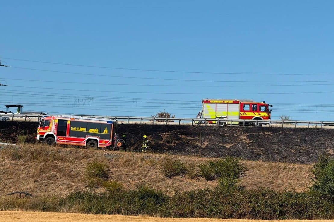 Erneuter Vegetationsbrand an der A3 beschäftigt Feuerwehr Hattersheim