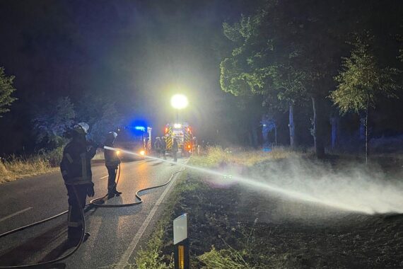 Feuerwehr im Einsatz an der L371: Flächenbrand von ca. 300 m² in trockenem Grünstreifen gelöscht.