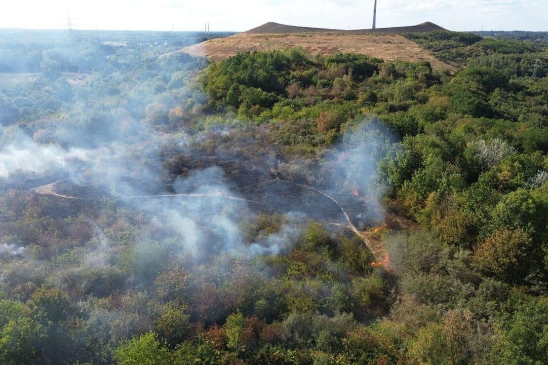 Feuerwehr löscht Flächenbrand auf der Halde 22 in Gladbeck