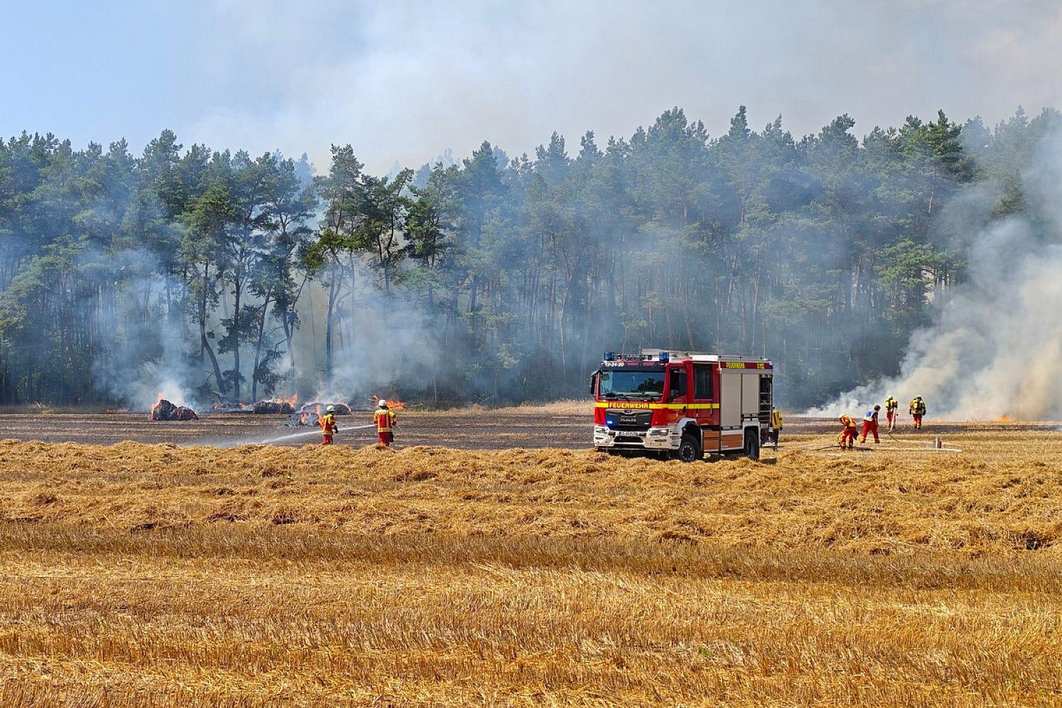 Feuerwehr verhindert Waldbrand bei Strohernte in Adendorf: Traktor brennt, Flächenbrand droht sich auszubreiten.