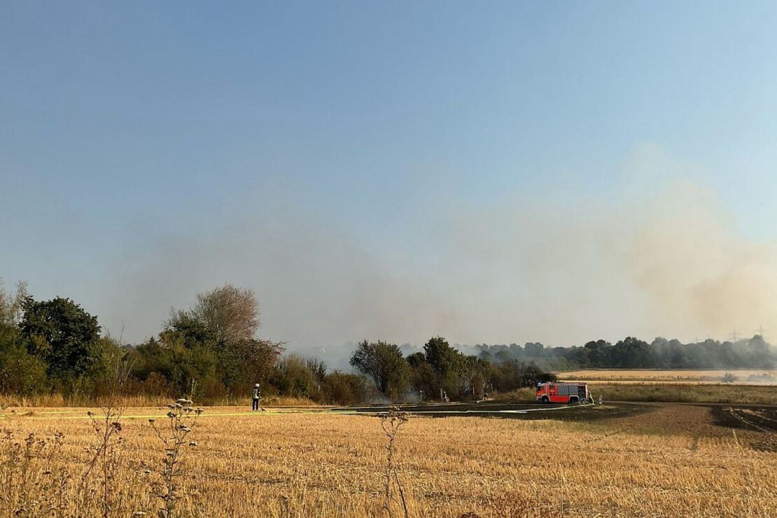 Flächenbrand in Bonn Dransdorf unter Kontrolle gebracht