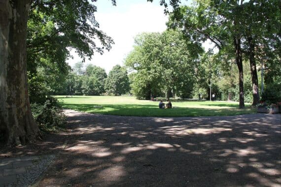 Grüner Beschluss: Begrünung, zusätzliche Straßenbäume, Hitze-Anpassungsmaßnahmen in Berlin (Archiv-Stadtpark).