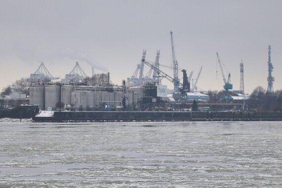 Archivfoto vom Hamburger Hafen; Thema: Rote Liste gefährdeter Süßwasserfische und Rundmäuler in Hamburg.