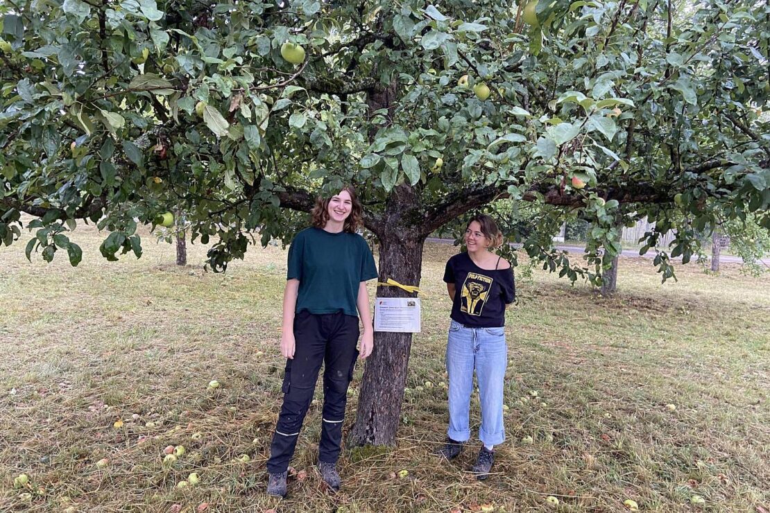 In Rastatt startet die Ernteaktion Gelbes Band