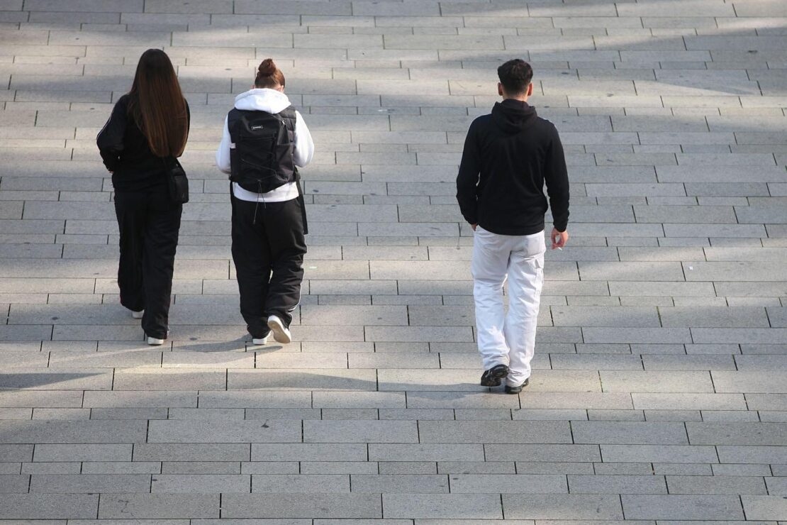 Linke kritisiert Vorbereitungen für neuen Zivildienst