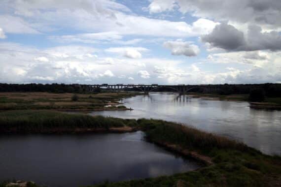 Fluss Oder an der Grenze Deutschland–Polen im Archiv, drohendes Niedrigwasser und Dürre-Kontext.