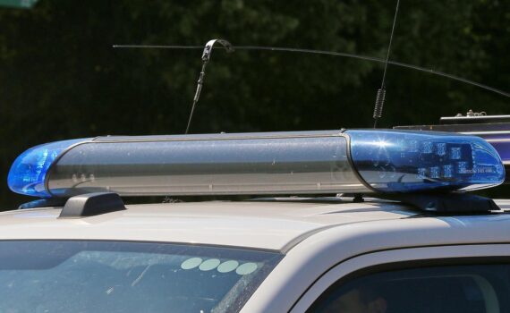 Polizei-Archivfoto: Ermittler sichern in einem Waldstück bei Glücksburg bei Flensburg einen Torso-Fund.
