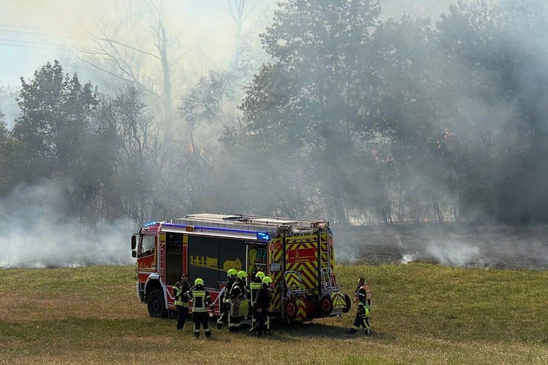 Mehr als 200 Einsatzkräfte kämpfen in Hattersheim gegen Vegetationsbrand