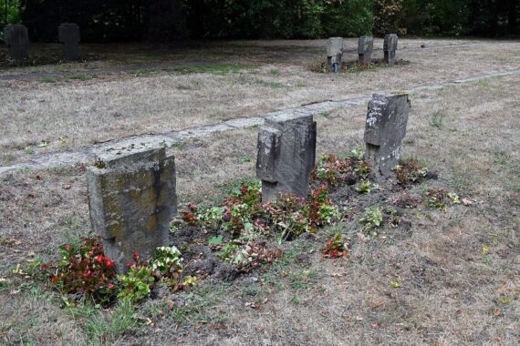 Wildschweine haben Grabpflanzungen auf dem Hauptfriedhof in Koblenz verwüstet, sichtbar beschädigte Gräber und Grünflächen.