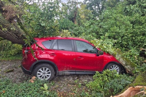 Feuerwehr Allensbach im Unwetter-Einsatz: umgestürzte Bäume, Wasser im Keller, Markise sichern.