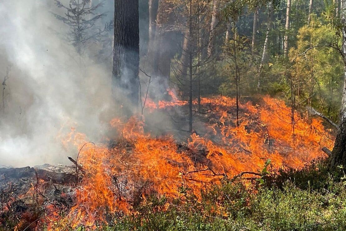 Waldbodenbrand in Unterlüß auf 3.500 Quadratmetern