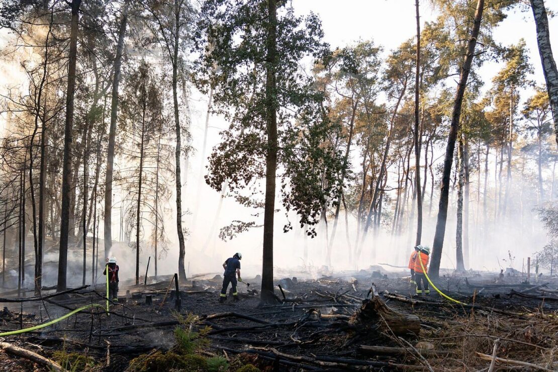 Waldbrand am Wingertsweiher bei Ottweiler fordert 510 Einsatzkräfte über zwei Tage