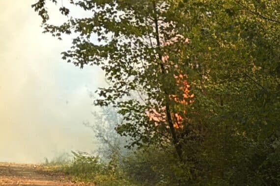 Rauchender Waldbrand bei Oberaußem: Feuerwehr Bergheim im Einsatz an der Landstraße 91, weite Fläche.