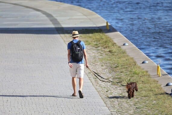 Mann mit Hund im Freien; dazu heiteres, niederschlagsfreies Wetter in Rheinland-Pfalz.