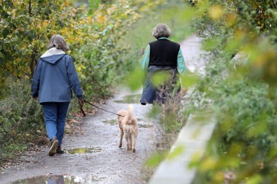 Zwei Frauen gehen mit einem Hund Gassi bei heiterem bis wolkigem Wetter (Archiv).