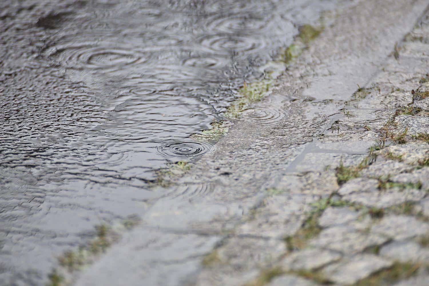 Wetterbericht für Sachsen-Anhalt (31.08.2026)