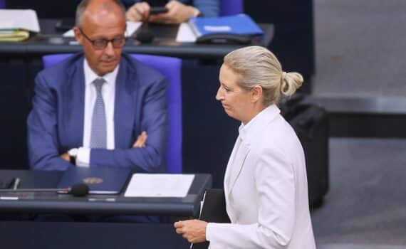 Friedrich Merz und Alice Weidel (Archiv) – AfD/Union Debatte über mögliche Minderheitsregierung.