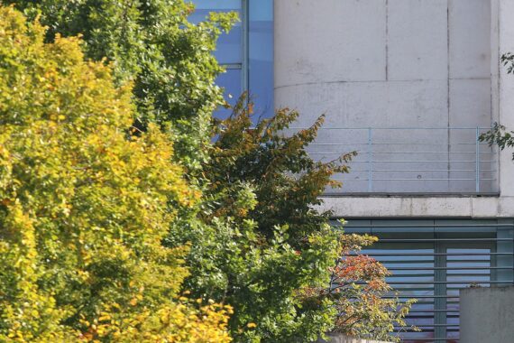 Philipp Amthor lässt einen Strandkorb am Bundeskanzleramt abtransportieren; Foto zeigt die Anlieferung auf der Terrasse.