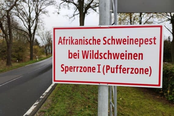 Warnschild „Afrikanische Schweinepest“ (Archiv) am Ort Seddiner See, Hinweis auf bedrohte Schweinehaltung.