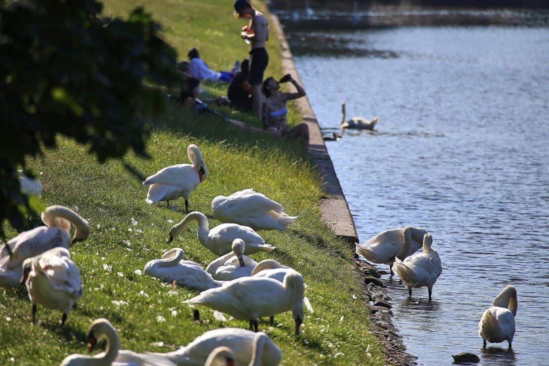 DWD: September ungewöhnlich warm und im Südwesten extrem trocken
