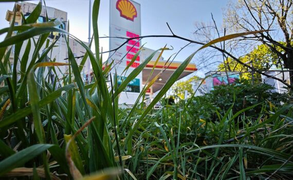 Tankstelle (Archiv) vor dem Hintergrund sinkender Sprit-Mehrwertsteuer und Preisentlastung.