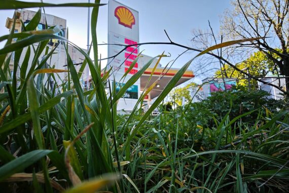 Tankstelle (Archiv) vor dem Hintergrund sinkender Sprit-Mehrwertsteuer und Preisentlastung.