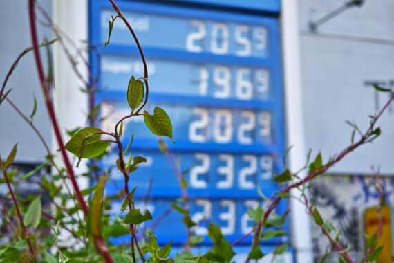 Tankstelle (Archiv): Andreas Audretsch lehnt Tankrabatt ab und fordert Senkung der Stromsteuer.