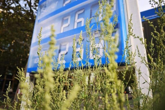 Tankstelle mit Zapfsäulen, passend zu steigenden Kraftstoffpreisen und Inflationsrate in Deutschland.