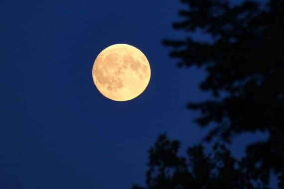 Italienischer Rüstungskonzern Leonardo; Thales- und Airbus-Kooperation im All, mit Mond als Symbol im Bild.