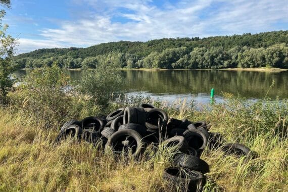 Altreifen-Entsorgung im Elbvorland bei Bleckede-Garlstorf: Polizei ermittelt nach illegalem Abkippen.