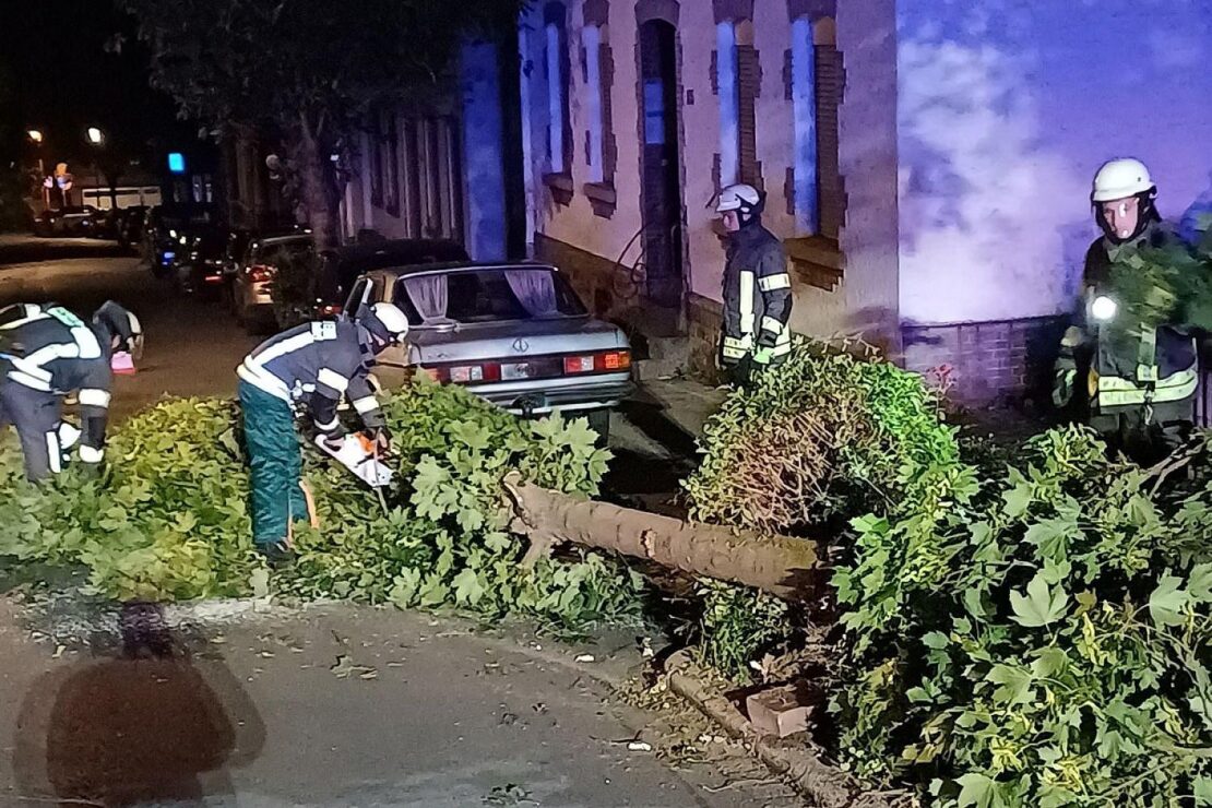 Sattelauflieger bringt in Wetter (Ruhr) Baum zu Fall