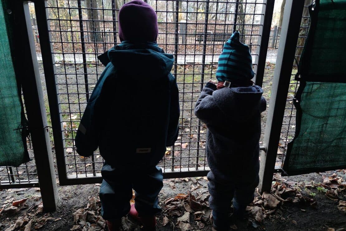 Schnieder kündigt Tests für viereinhalbjährige Kinder an
