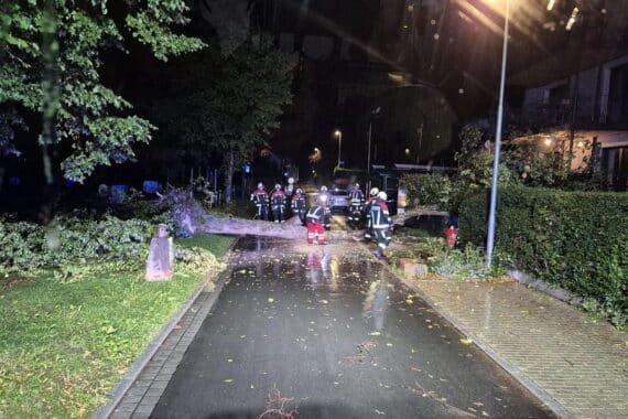Umgestürzter Baum blockiert die Fahrbahn in Allensbach; Feuerwehr zersägt ihn (Archivfoto).
