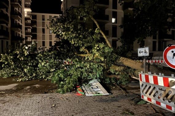 Umgestürzte Bäume und Einsatzkräfte nach Gewittersturm in Freiburg, blockierte Straßen, Verletzte (Archivfoto).
