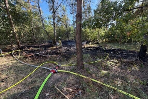 Feuerwehr bei Waldbrand in Speyer: Unterholzbrand, Pilot mit Flugzeug über dem Einsatzgebiet, Kameradienst vor Ort.