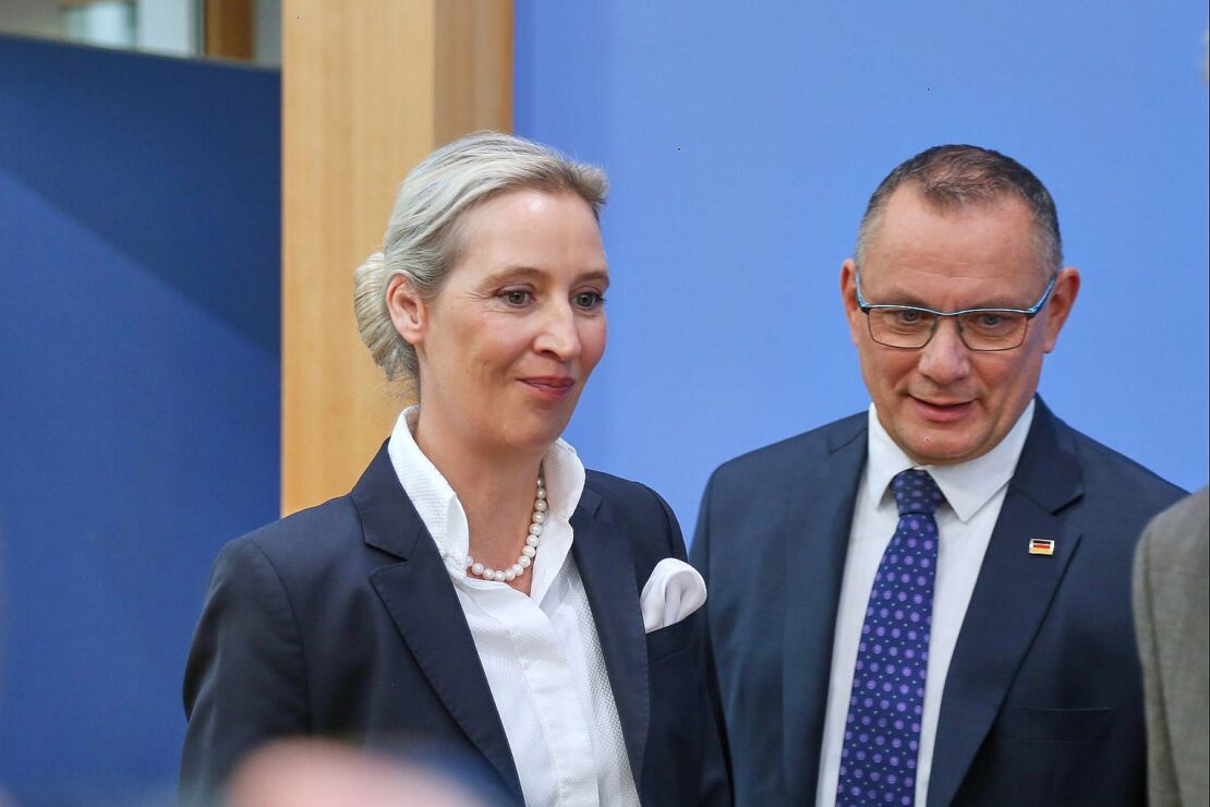 AfD bleibt in Allensbach-Umfrage klar stärkste Kraft