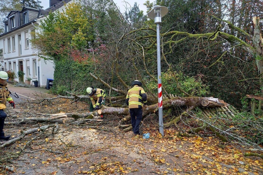 Baum stürzt auf Straße in Herdecke