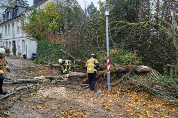 Feuerwehr sichert Einsatzstelle nach umgestürztem Baum: Seilwinde, Motorkettensäge, abgesperrter Straßenrand.