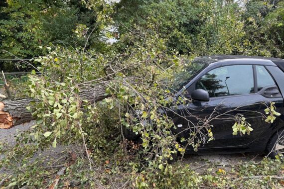 Kleinwagen unter einem umgestürzten, etwa 12 Meter langen Baum; Feuerwehr arbeitet mit Kettensäge.