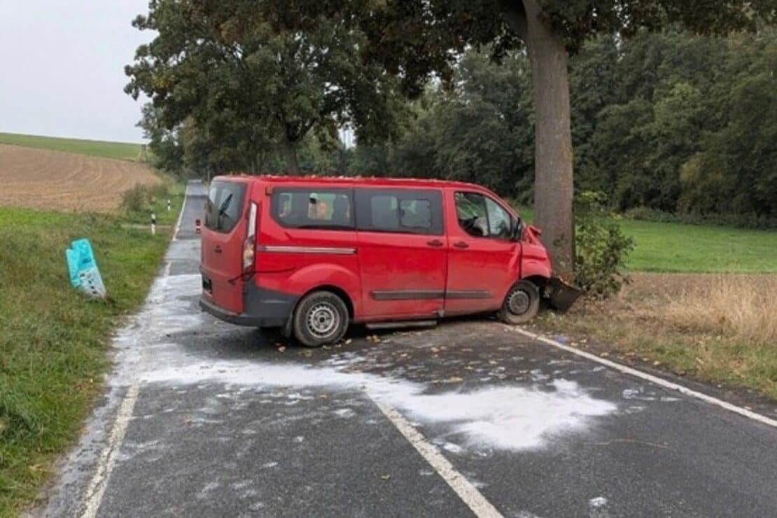 Baumunfall auf der L 493 bei Bockenem fordert eine schwerverletzte und zwei leichtverletzte Personen