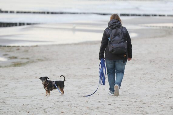 Ein Strandmotiv (Archivfoto) zeigt Hundehaltung und Hundesteuer-Thematik als Bildhintergrund.