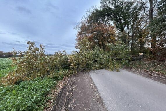 Feuerwehrkräfte beseitigen einen sturmgeschädigten Baum mit einer Motorkettensäge an einer abgesperrten Straße in Alpen.