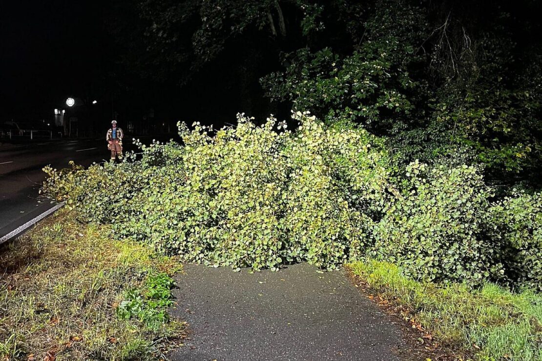 Feuerwehr Hünxe räumt umgestürzten Baum vom Radweg
