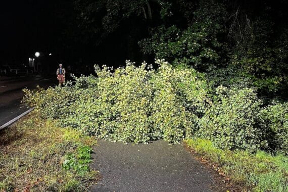 Umgestürzter Baum blockiert Radweg „Am Krummen Acker“ in Hünxe; Feuerwehr räumt mit Motorsäge.